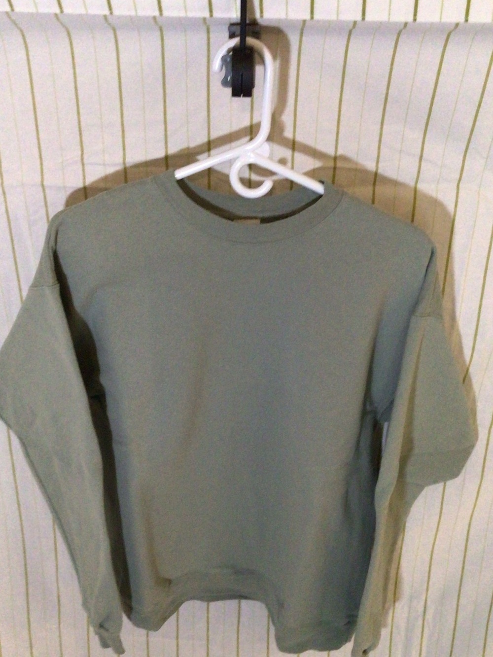 Hanes Men's Crewneck Sweatshirt in Olive Green